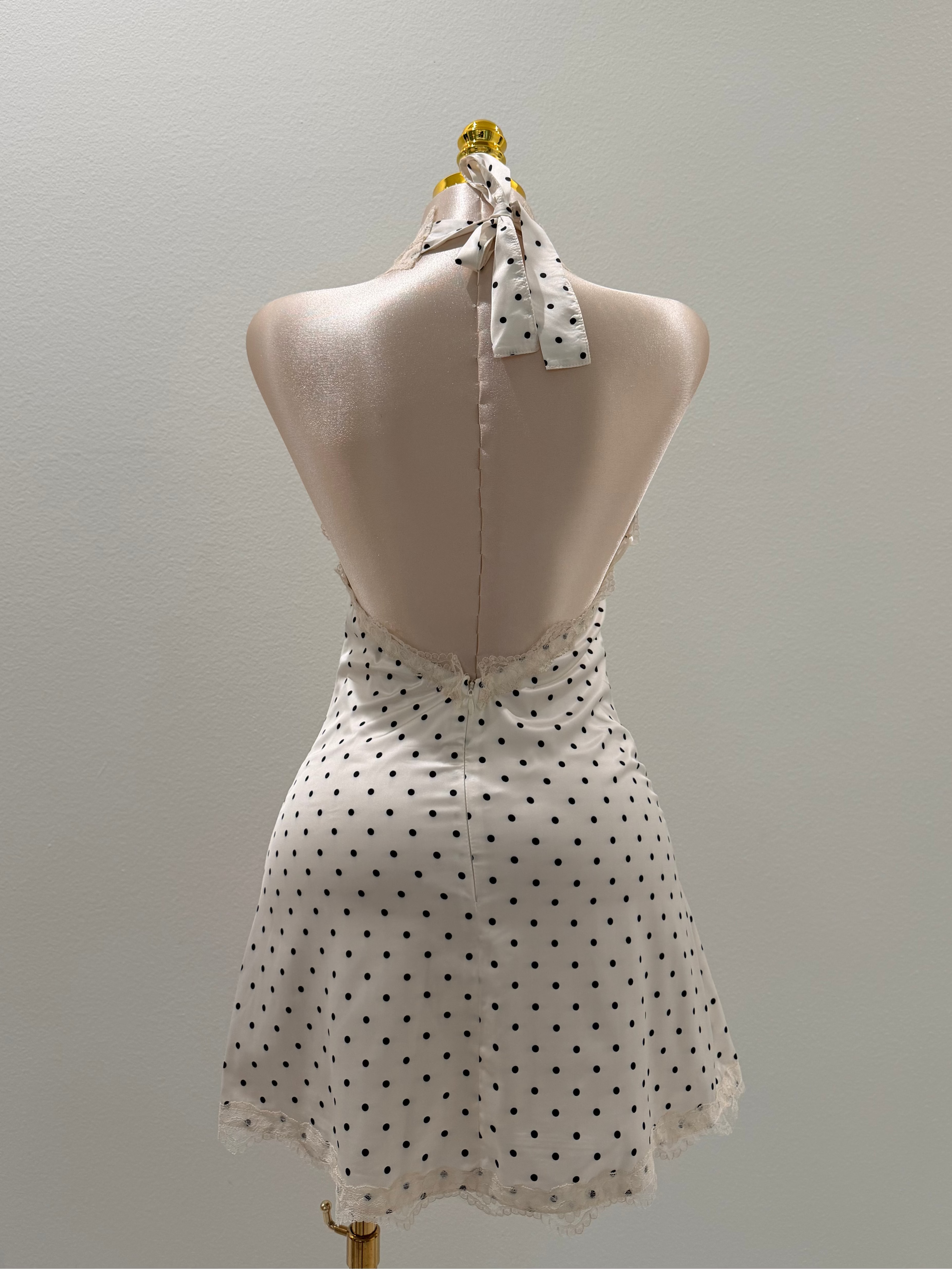 Dutches Dress